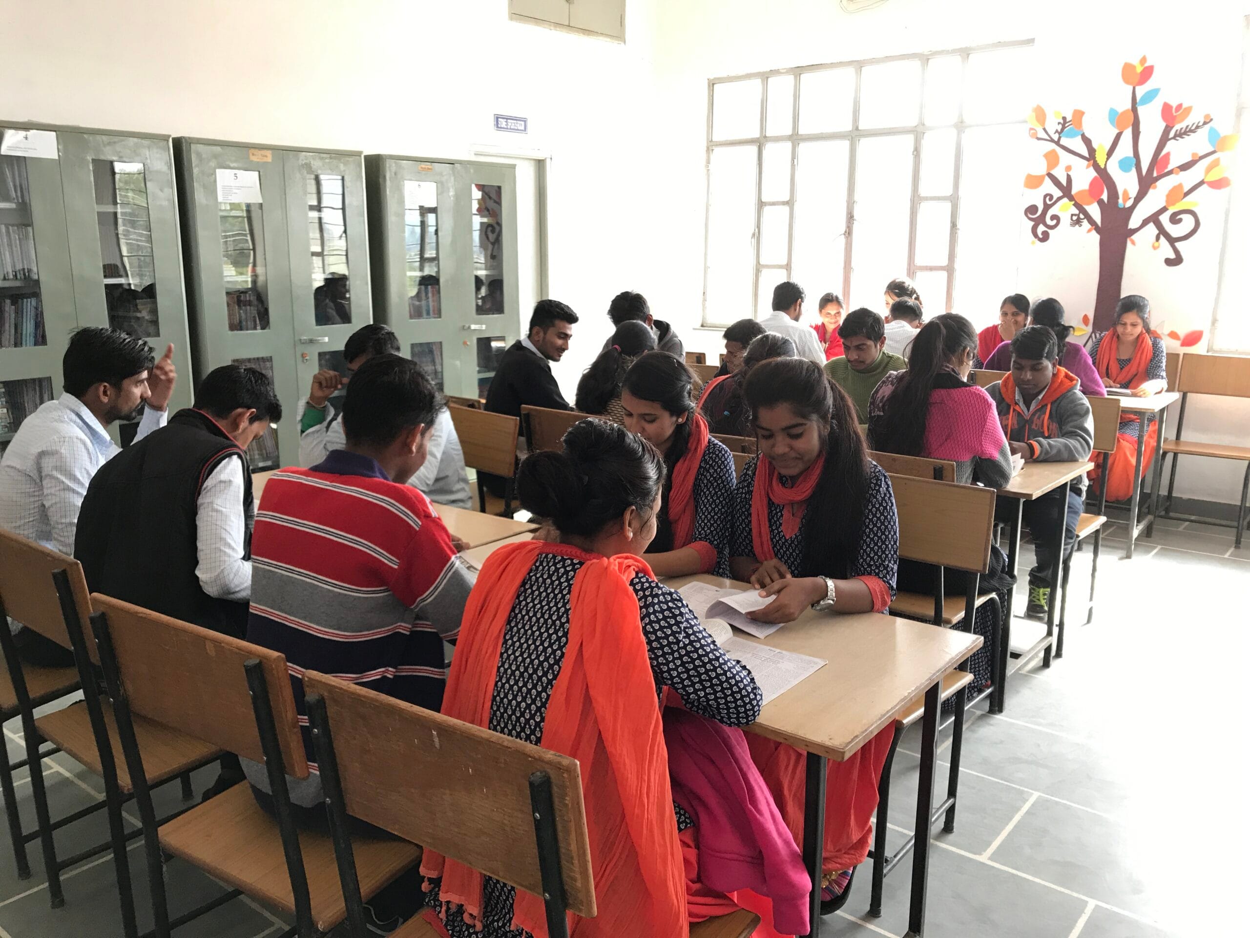 Study Areas